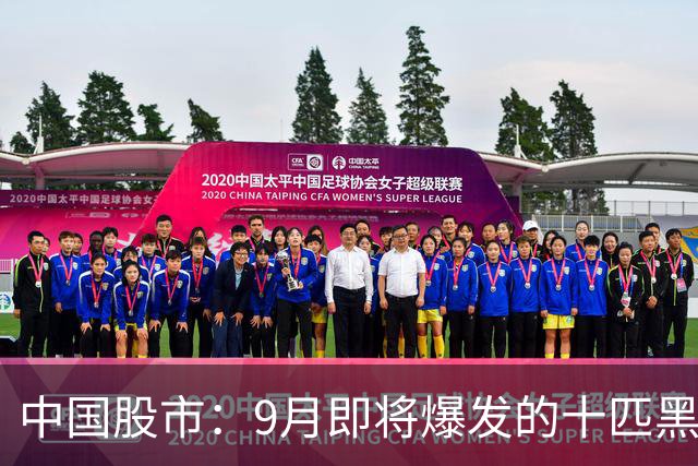 中国股市：9月即将爆发的十匹黑马，未来一年十倍增长潜力！（建议收藏）